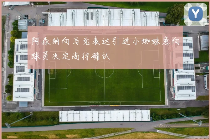 阿森纳向马竞表达引进小蜘蛛意向球员决定尚待确认